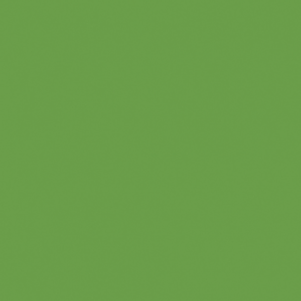 Verde Kiwi U626